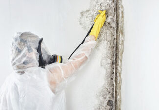 Mold Inspection Services in Orange County